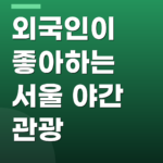 외국인이 좋아하는 서울 야간 관광