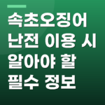 속초오징어난전 이용 시 알아야 할 필수 정보