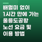 배멀미 없이 1시간 만에 가는 울릉도공항 노선 요금 및 이용 방법