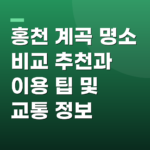 홍천 계곡 명소 비교 추천과 이용 팁 및 교통 정보