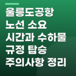 울릉도공항 노선 소요 시간과 수하물 규정 탑승 주의사항 정리