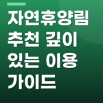 자연휴양림 추천 깊이 있는 이용 가이드