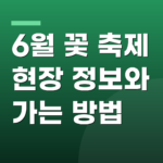 6월 꽃 축제 현장 정보와 가는 방법