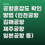 공항혼잡도 확인 방법 (인천공항 김해공항 제주공항 일본공항 등)