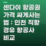 센다이 항공권 가격 싸게사는 법 : 인천 직항 경유 항공사 비교