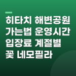 히타치 해변공원 가는법 운영시간 입장료 계절별 꽃 네모필라