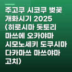 주고쿠 시코쿠 벚꽃 개화시기 2025 (히로시마 돗토리 마쓰에 오카야마 시모노세키 도쿠시마 다카마쓰 마쓰야마 고치)