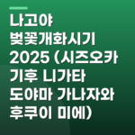 나고야 벚꽃개화시기 2025 (시즈오카 기후 니가타 도야마 가나자와 후쿠이 미에)