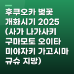 후쿠오카 벚꽃 개화시기 2025 (사가 나가사키 구마모토 오이타 미야자키 가고시마 규슈 지방)