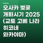 오사카 벚꽃 개화시기 2025 (교토 고베 나라 히코네 와카야마)