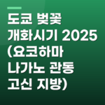 도쿄 벚꽃 개화시기 2025 (요코하마 나가노 관동 고신 지방)