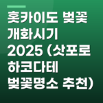 홋카이도 벚꽃 개화시기 2025 (삿포로 하코다테 벚꽃명소 추천)