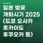 일본 벚꽃 개화시기 2025 (도쿄 오사카 홋카이도 후쿠오카 등)