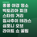 홍콩 야경 명소 빅토리아 피크 스타의 거리 침사추이 테라스 심포니 오브 라이트 쇼 꿀팁