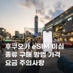 후쿠오카 eSIM 이심 종류 구매 방법 가격 요금 주의사항