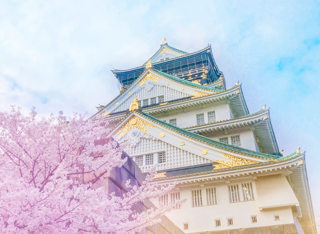 오사카 벚꽃