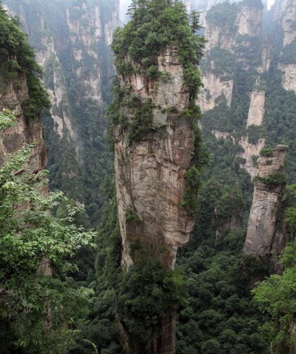 zhangjiajie, wulingyuan, quartz sandstone peak woodland landscape