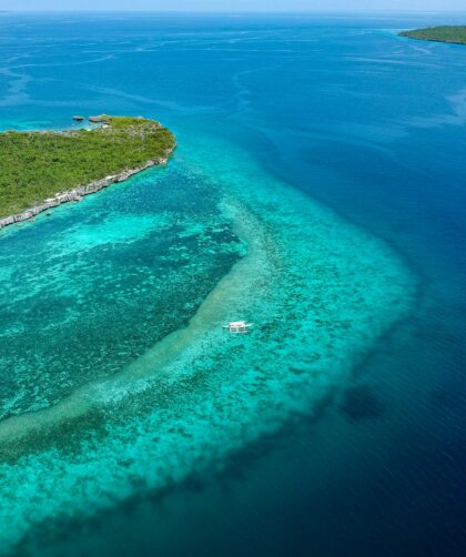 aerial view of green island during daytime