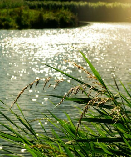 body of water at daytime