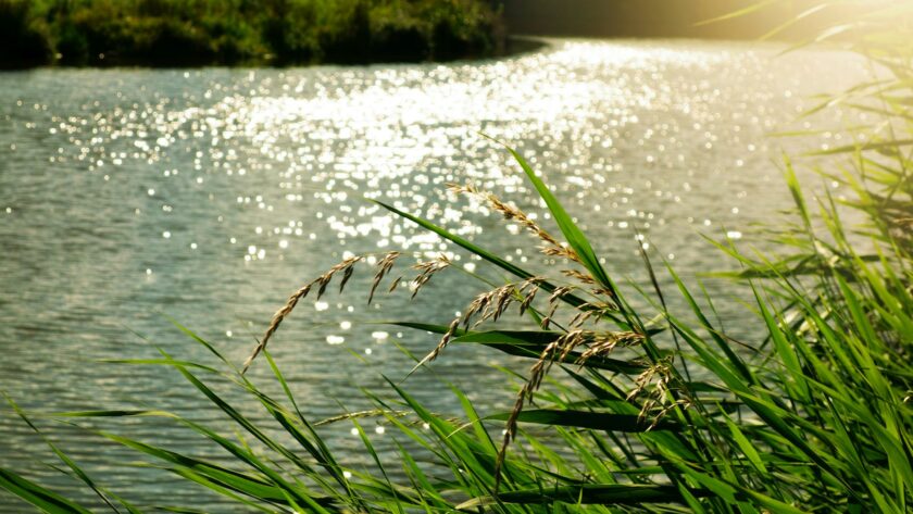 body of water at daytime