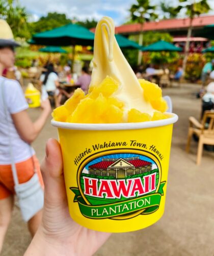 person holding a blue and yellow cup with yellow ice cream