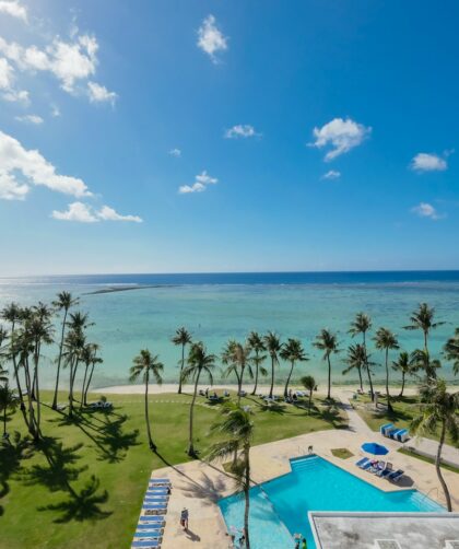 a pool and palm trees by the ocean