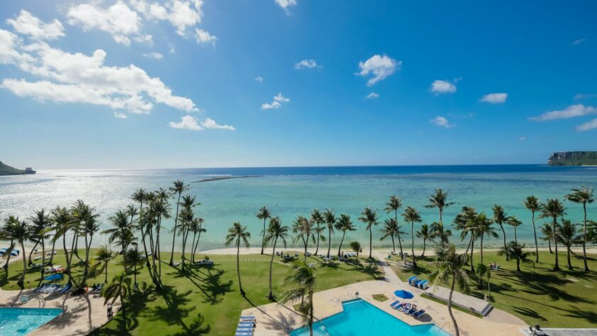 a pool and palm trees by the ocean