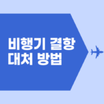 비행기 결항 대처 방법 항공사별 보상 신청하기