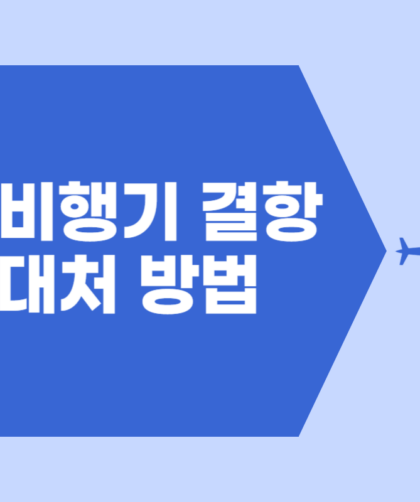 비행기 결항 대처 방법 항공사별 보상 신청하기