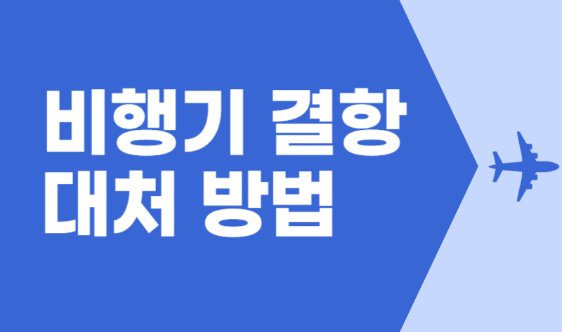 비행기 결항 대처 방법 항공사별 보상 신청하기