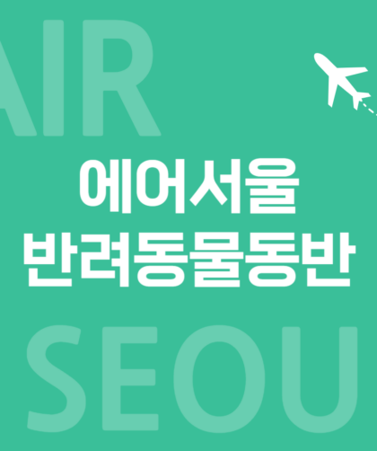에어서울 002
