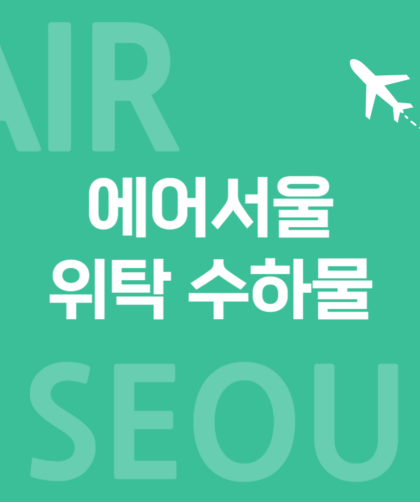 에어서울 010