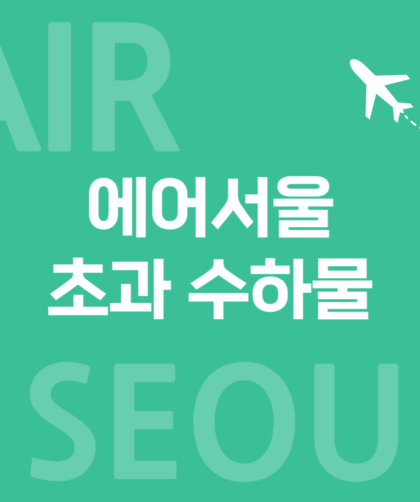 에어서울 011