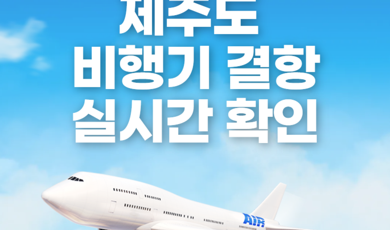 제주도 비행기 결항 실시간 확인하기