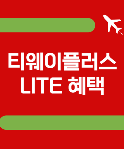 티웨이플러스 LITE 혜택 구독료 동반자 추가