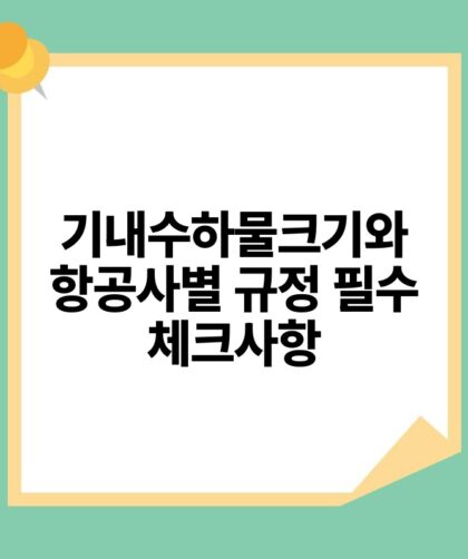 기내수하물크기와 항공사별 규정 필수 체크사항.jpg