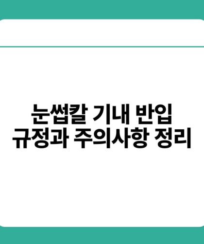 눈썹칼 기내 반입 규정과 주의사항 정리.jpg