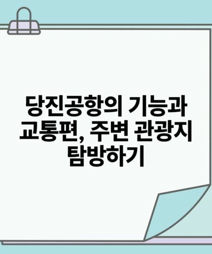당진공항의 기능과 교통편 주변 관광지 탐방하기.jpg