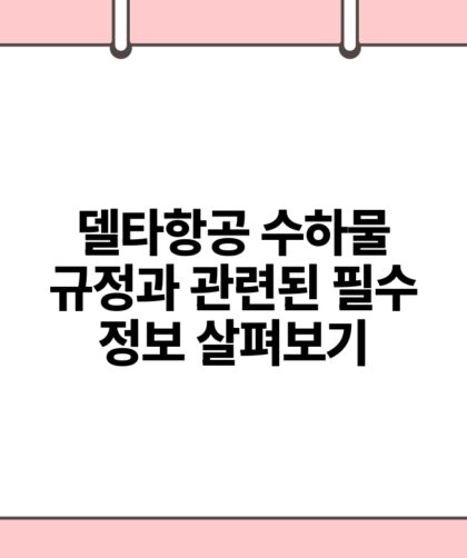 델타항공 수하물 규정과 관련된 필수 정보 살펴보기.jpg