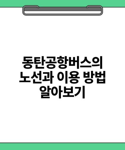 동탄공항버스의 노선과 이용 방법 알아보기.jpg