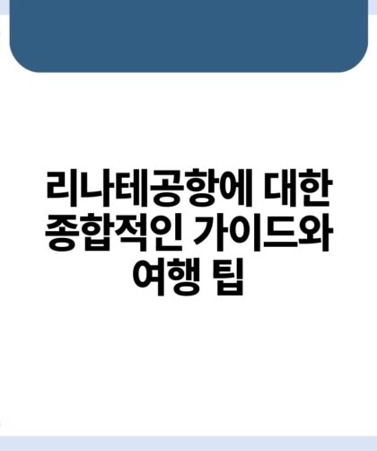 리나테공항에 대한 종합적인 가이드와 여행 팁.jpg