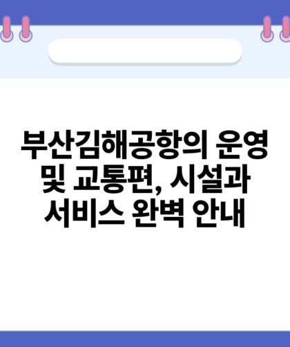 부산김해공항의 운영 및 교통편 시설과 서비스 완벽 안내.jpg