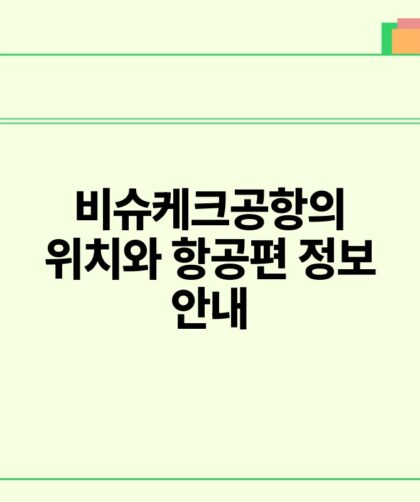 비슈케크공항의 위치와 항공편 정보 안내.jpg
