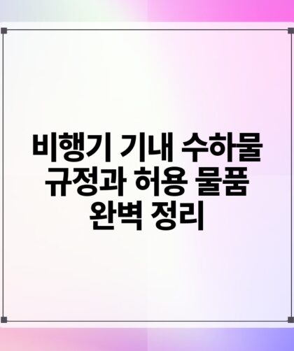 비행기 기내 수하물 규정과 허용 물품 완벽 정리.jpg