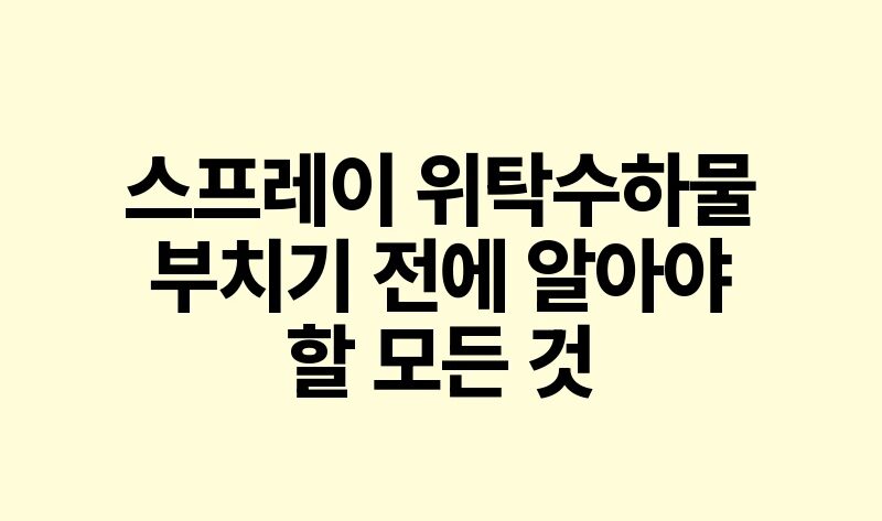 스프레이 위탁수하물 부치기 전에 알아야 할 모든 것.jpg