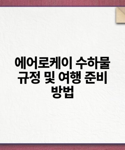 에어로케이 수하물 규정 및 여행 준비 방법.jpg