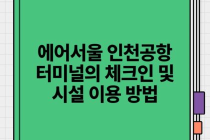 에어서울 인천공항 터미널의 체크인 및 시설 이용 방법.jpg