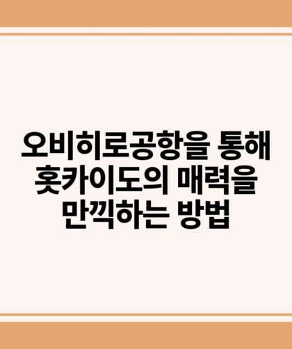 오비히로공항을 통해 홋카이도의 매력을 만끽하는 방법.jpg