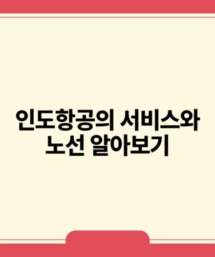 인도항공의 서비스와 노선 알아보기.jpg