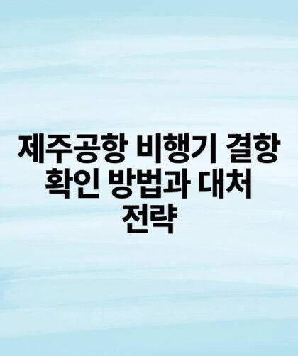 제주공항 비행기 결항 확인 방법과 대처 전략.jpg